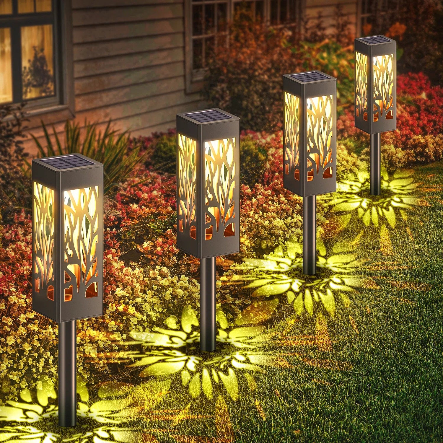 Solar Lights